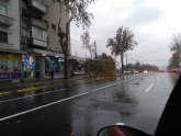 Nevreme stiglo u Srbiju, vetar obarao drveće FOTO/VIDEO