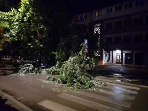 Nevreme u Leskovcu obaralo stabla i nosilo krovove, veliku štetu pretrpeli i poljoprivrednici