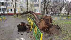 Nevreme u Moskvi: Povređeno 17 osoba, dvoje poginulo (VIDEO)