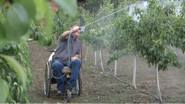 Ni invalidska kolica nisu prepreka ako volite voćarstvo