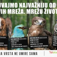„Nijedna vrsta ne umire sama“ – nova kampanja Telekoma Srbija
