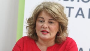 „Nikakva komisija ne može da bude opravdanje za SNS“: Nestorović (EU) o pozivu Brnabić da opozicija učestvuje u komisiji o litijumu