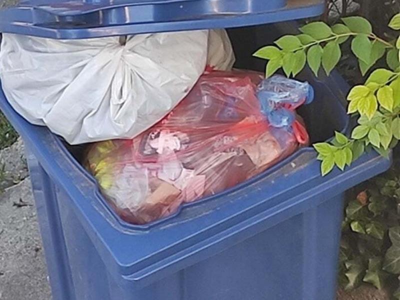 Nišlije se žale da se kante za reciklažno smeće ne prazne već nedeljama, iz Mediane bez odgovora