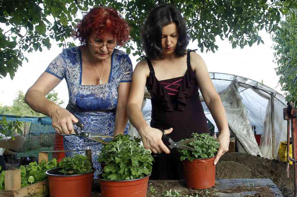 Nišlije uče nezaposlene žene sa sela kako da uzgajaju cveće
