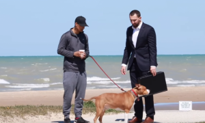 Njihova ljubav nema cenu: Ponudio je vlasnicima pasa pun kofer para za njihove ljubimce, ali su svi složno rekli ne! (VIDEO)