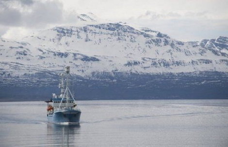 Norvežani razočarani: Na Arktiku NEMA NAFTE