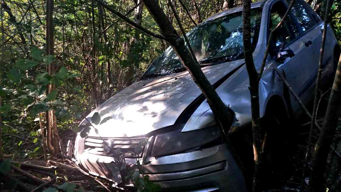 Nova Varoš: Vožnju platili pesnicama, auto otisnuli niz liticu