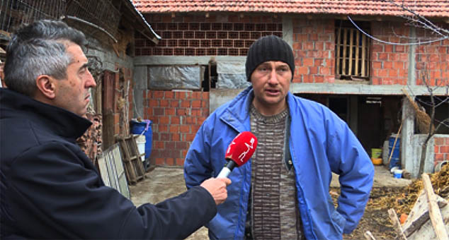 Nova krađa stoke u Kosovskom Pomoravlju (VIDEO)