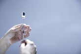 Nova studija: Fajzerova vakcina znatno smanjuje prenos virusa