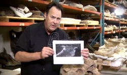Nova vrsta dinosaurusa nazvana po čudovištu iz filma Isterivači duhova (VIDEO)