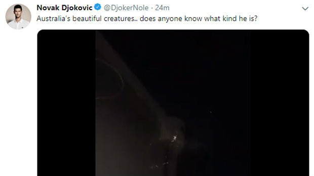 Novak Đoković ima pitanje za vas...