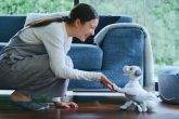 Novi Sonyjev robotski pas ostvaruje emocionalnu vezu s vlasnicima