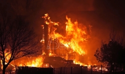 Novi bilans šumskih požara u Čileu 16 mrtvih