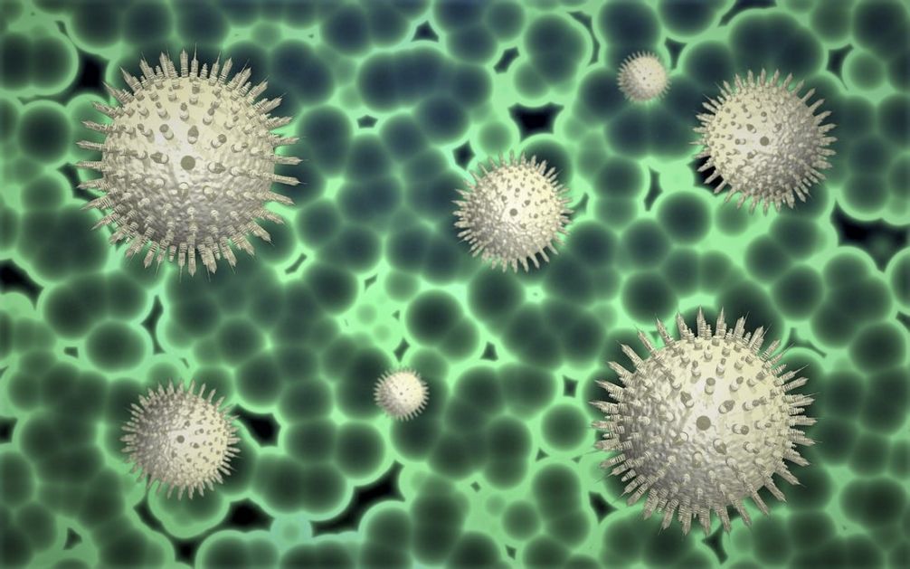 Novi koronavirus mutira, postoji osam vrsta