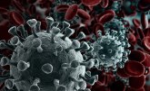 Novi soj koronavirusa: Ovo su ugrožene grupe