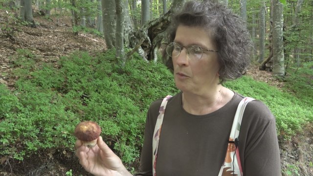 Novinarka napustila život u gradu, pa se preselila na selo: Sada proučava mistični svet gljiva