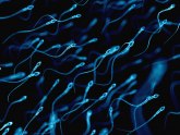 Novine u lečenju steriliteta: Ljudska sperma ne pliva onako kako smo mislili