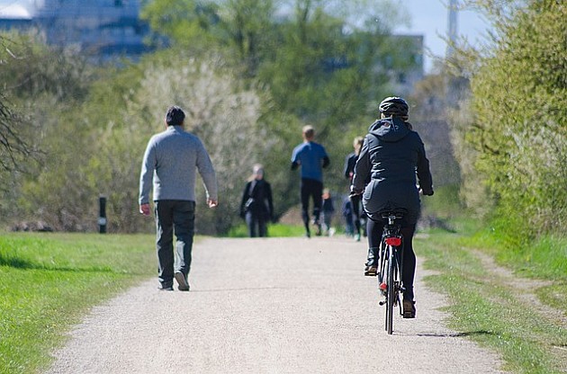 Novosađani pokrenuli peticiju „Za Telepski park - poslednji spas“