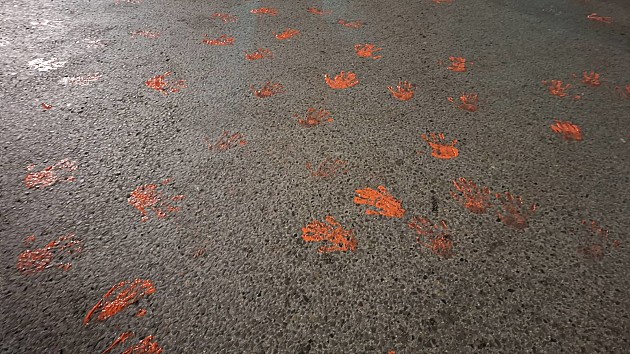 Novosađani se i sinoć okupili na skupu podrške Dijani Hrki, dvoje privedeno zbog šaranja prostorija SNS