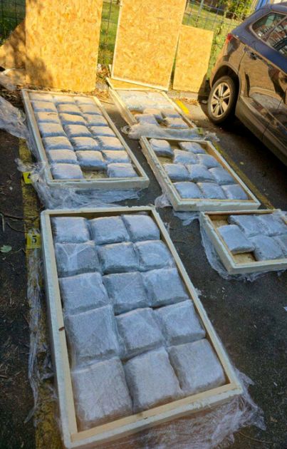 Novosadska policija zaplenila 60 kilograma marihuane i uhapsila državljanina Crne Gore