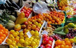 
					Novosti: Prodaja južnog voća veća do 30 odsto 
					
									