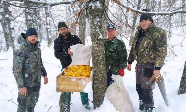 Novovaroški lovci obezbjedili hranu za zimsku prihranu divljači
