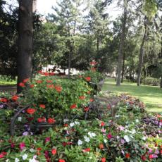 OAZA MIRA I SKLONIŠTE OD GRADSKE BUKE: Narodna bašta je najstariji park u Pančevu (VIDEO)