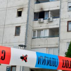 OČEVIDAC HORORA NA BEŽANIJSKOJ KOSI Čuo sam udarac i istrčao na terasu, video sam dete na pločniku, a onda i majku