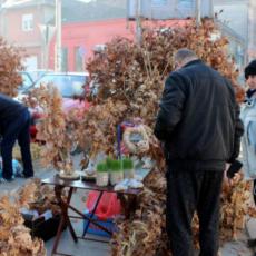 ODOMAĆILI SE U BEOGRADU: Evo kako stranci proslavljaju srpski Božić