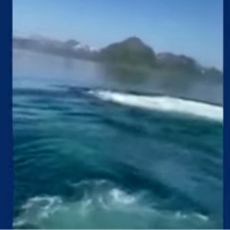OSLOBOĐEN JE! Norveška obalska straža izvela brzu akciju, spasili život velikom džinu! (VIDEO)