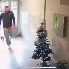 OVO JE DNO - Beograđani u NEVERICI! Mladić ušetao u zgradu sa psom i onda uradio nešto SKANDALOZNO (VIDEO)
