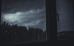 
					Obilna kiša i olujni vetar u Valjevu 
					
									