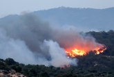 Obuzdan šumski požar u Kataloniji, istražitelji veruju da je počeo od kokošijeg izmeta