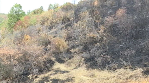 Obuzdani požari u Pčinjskom okrugu, dežura se na mestima gde su bila žarišta