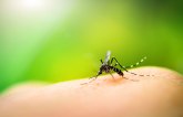 Očekuje se najezda komaraca, gde će ih biti najviše?