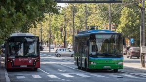 Od sutra letnji red vožnje u Beogradu: Manje vozila, sezonske linije ka Adi