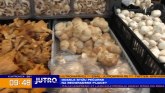Odakle stižu pečurke na beogradske pijace? VIDEO