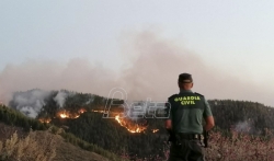 Oko 2.000 ljudi na Kanarskim ostrvima evakuisano zbog požara