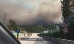 Oko 500 vatrogasaca se bori sa šumskim požarom