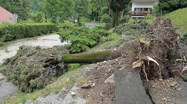 Nevreme u Sloveniji i Hrvatskoj, vetar nosio krovove i lomio drveće