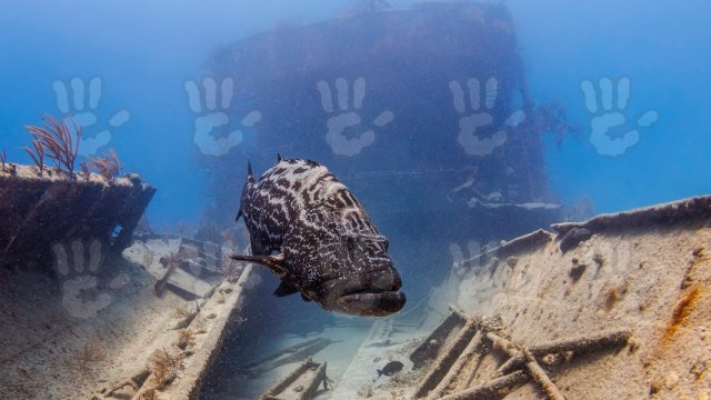 Olupina starog rimskog teretnog broda pronađena kod obale u blizini Rima