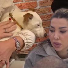 Opet štrokava GURA I UDARA Vesnu Aneli Ahmić uhvaćena u novom nedelu prema Janjuševom psu (VIDEO)