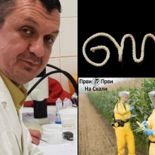 Opijum, radijum i GMO - tri primera slobodnog trzista