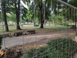 Opozicija protestom “brani” zelenilo na trgu, gradski urbanista kaže biće više drveća