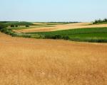 Opština Blace daje plodnu zemlju u zakup
