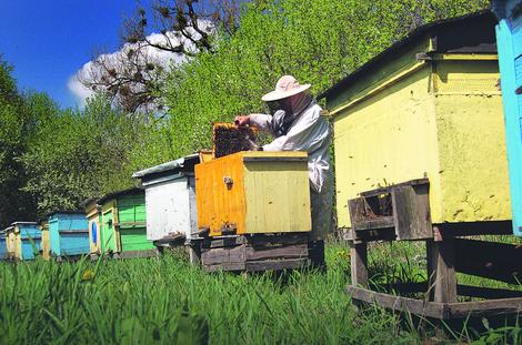 Opština Prokuplje pomaže pčelarima