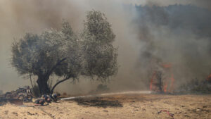 Optužene turske vlasti zbog nepripremljenosti za šumske požare
