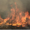 Osam novih požara na Zakintosu: Vlasti sumnjaju da su podmetnuti (FOTO)