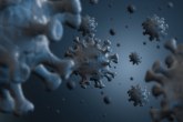 Osmi tip koronavirusa otkriven još 2017. godine?