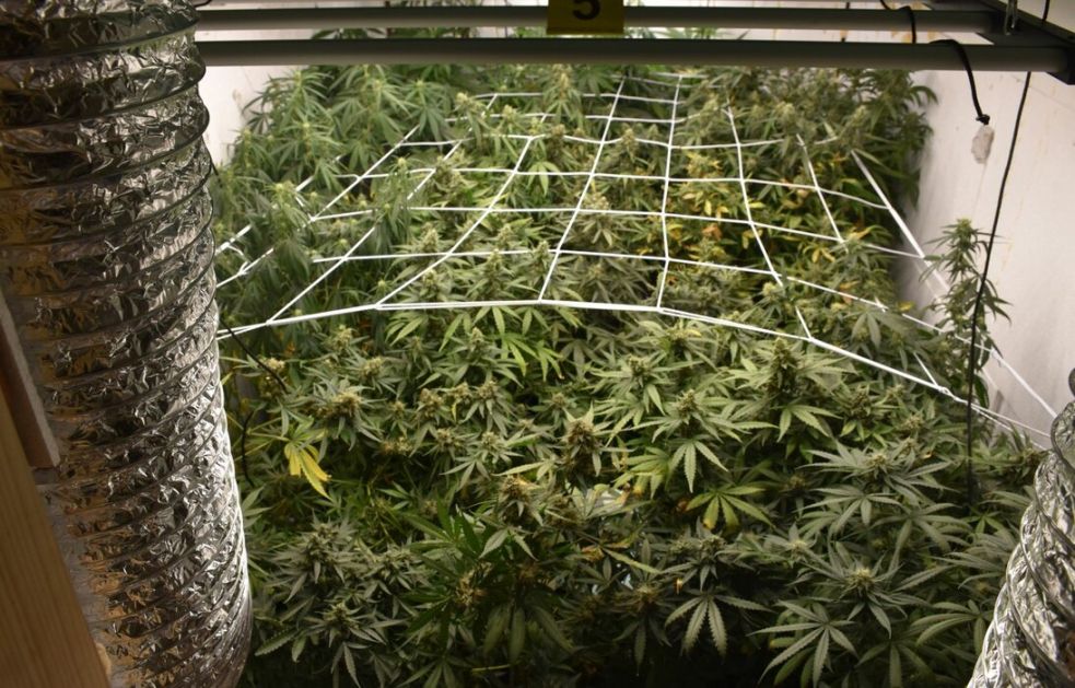 Osumnjičeni za nelegalnu proizvodnju i prodaju narkotika